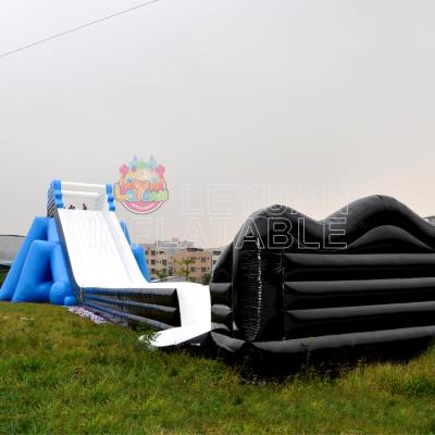 Blue Giant Adults Inflatable Hippo Water Slide