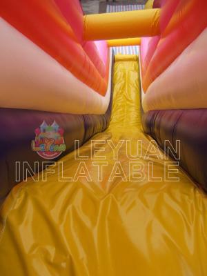Interactive Vertical Rush Inflatable Slide