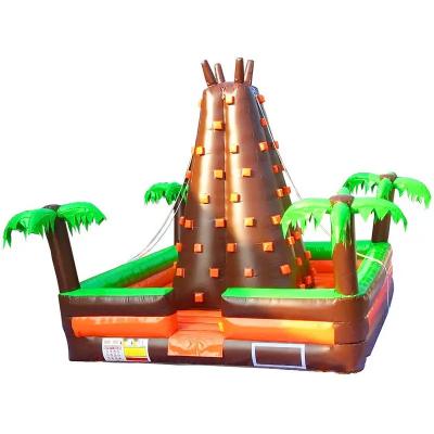 Jungle Theme Climbing Wall
